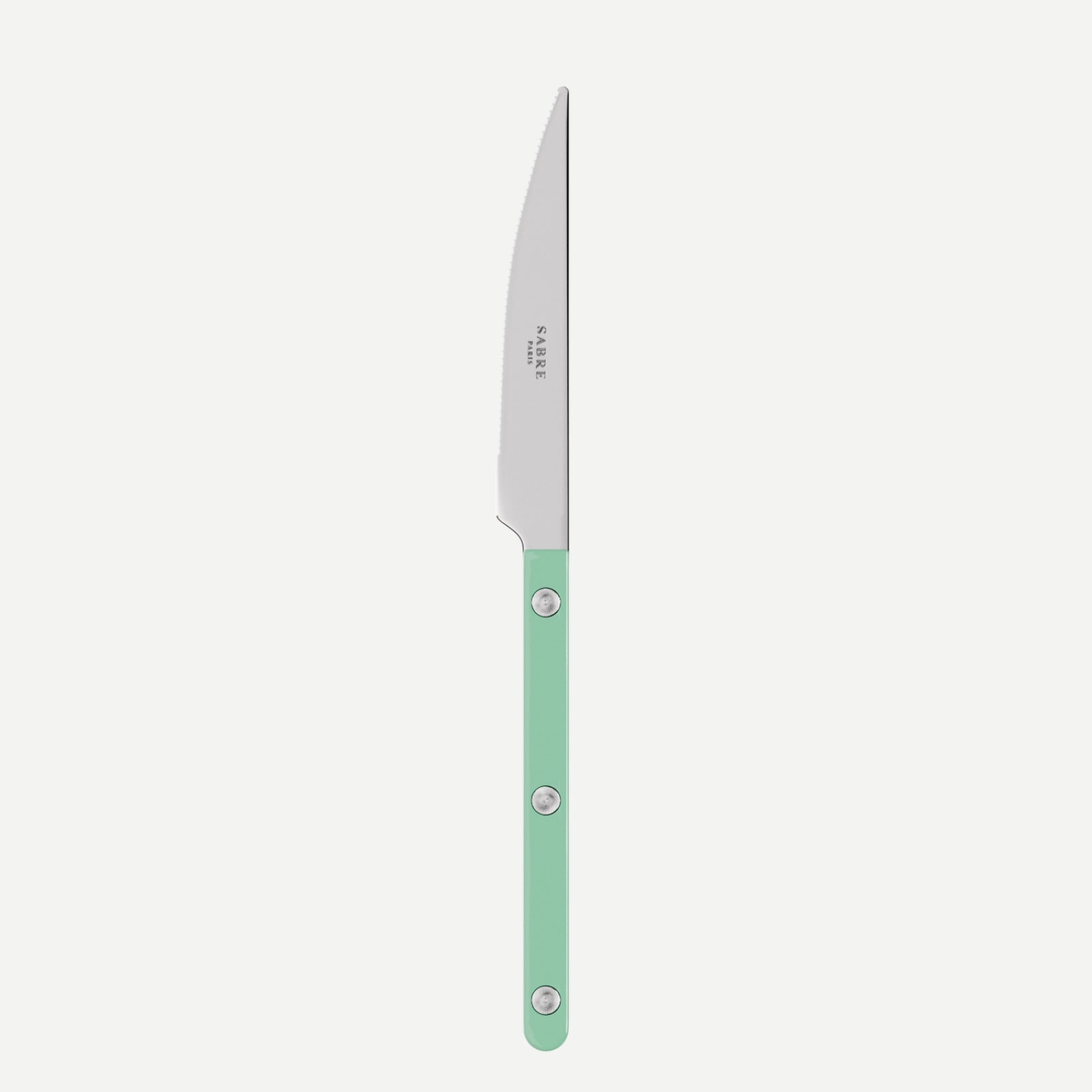 Sabre Paris Bistrot Solid Dinner Knife Pastel green
